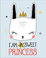 Постер в рамке Princess 30х40 см ps
