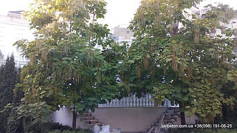 Балясины Козин | Бетонная балюстрада в Киеве и Киевской области 13