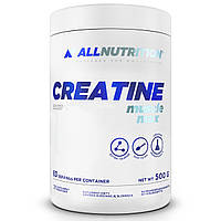 Креатин AllNutrition Creatine Muscle Max, 500 грамм CN1316 SP