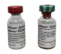 Нобивак Трикет Трио вакцина против калицивироза ринотрахеита панлейкопении кошек, 1 доза + растворитель