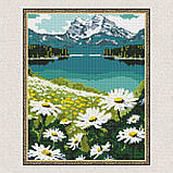 Алмазна мозаїка/вишивка Квітучі ромашки 30*40 см Ідейка AMO 7803, фото 5