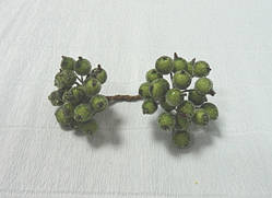 Ягоди калини в цукрі, Оливкові