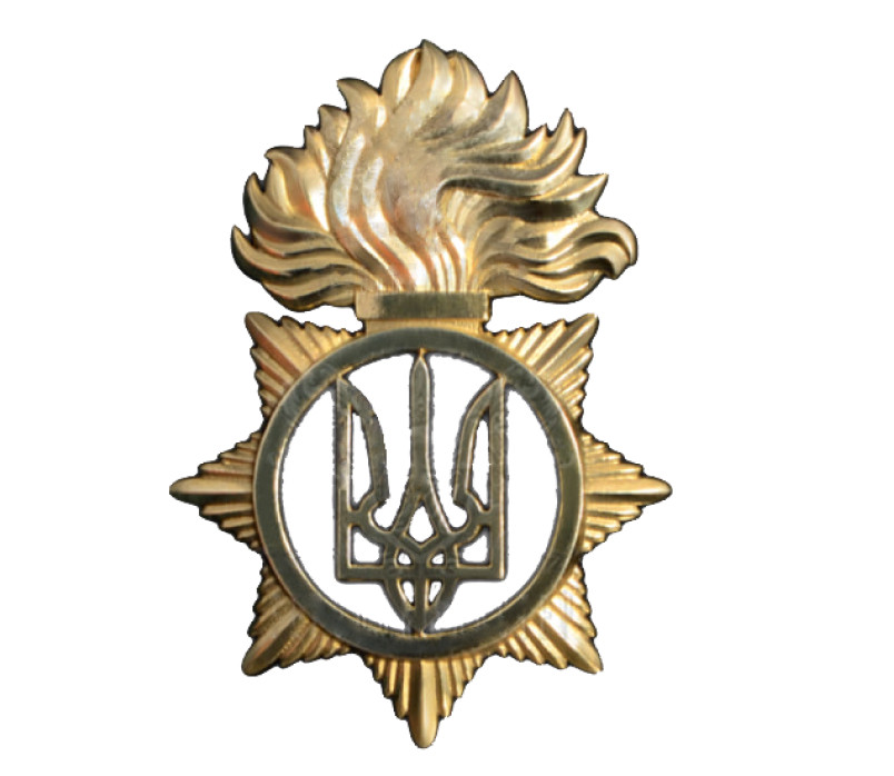 Кокарда на берет Національної Гвардії НОВА (пластик)
