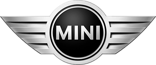 Решітки радіатора Mini