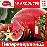 Насіння, кавун АУ Продюсер, Soto Seeds (Швейцарія), проф.пакет 500 грамів, Імпорт 2025, фото 5