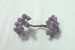 Ягоди калини в цукрі, Фіолетові