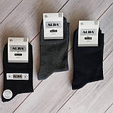 Шкарпетки чоловічі Alba класика асорті 42-45  | 12 пар, фото 2