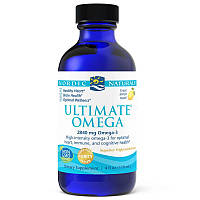 Жирные кислоты Nordic Naturals Ultimate Omega, 119 мл HS