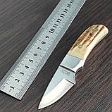 Уценка. Ніж нескладний Linder 440305, шкуроз'ємний, ріг, фото 2