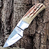 Ніж нескладний Linder 440305, шкуроз'ємний, ріг, фото 2