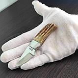 Ніж нескладний Linder 440305, шкуроз'ємний, ріг, фото 3