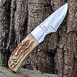 Ніж нескладний Linder 440305, шкуроз'ємний, ріг, фото 5