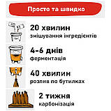 Пивоварний екстракт Black Rock Lager на 23 л, фото 3