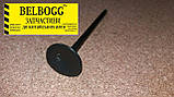 Клапан впускний 1,6 BYD F3, F3R, Бид Ф3, Ф3Р, Бід Ф3, фото 4