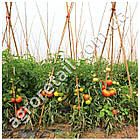 Опора для рослин бамбукова 90 см, фото 4