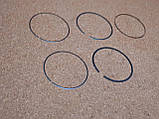 Кільця поршневі 1,5 BYD F3, F3R, New F3, Бид Ф3, Ф3Р, Бід Ф3, фото 3