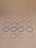 Кільця поршневі 1,5 BYD F3, F3R, New F3, Бид Ф3, Ф3Р, Бід Ф3, фото 6
