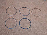 Кільця поршневі 1,5 BYD F3, F3R, New F3, Бид Ф3, Ф3Р, Бід Ф3, фото 7