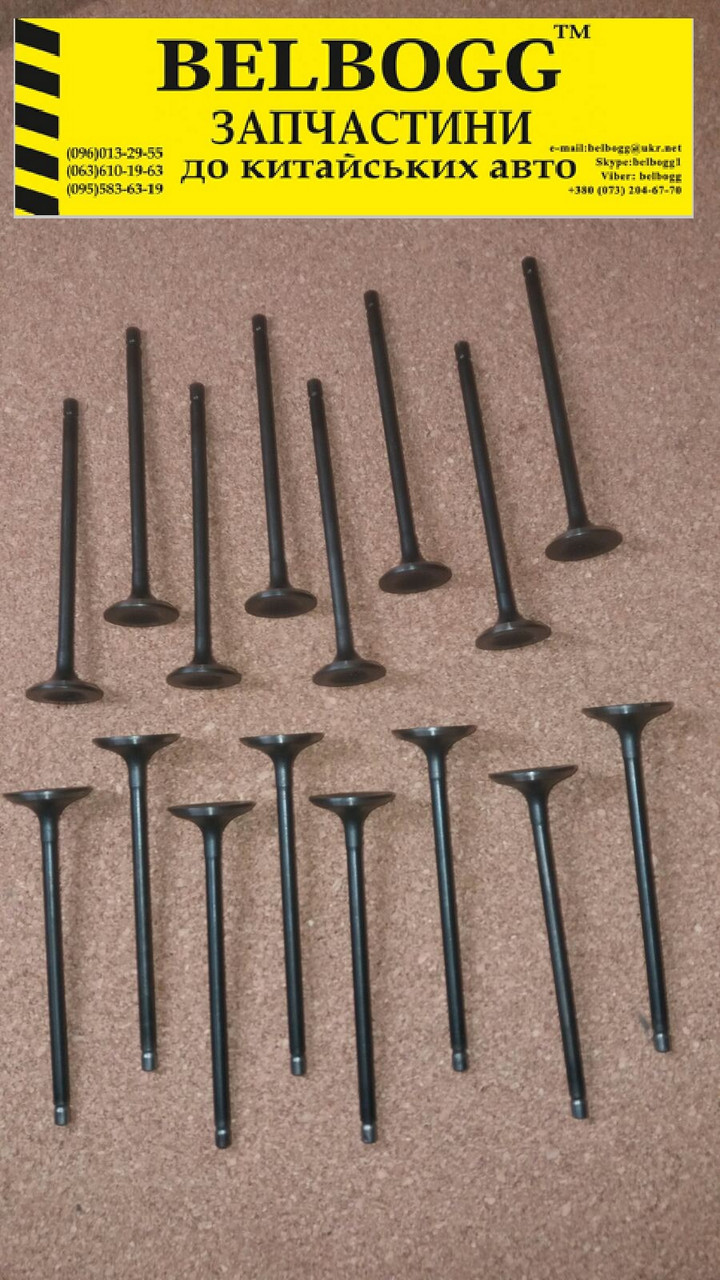 Комплект впускних і випускних клапанів 1,6 л Brilliance M1 M2 BS4 BS6 Бріліанс М1 М2 Брілліанс, фото 1