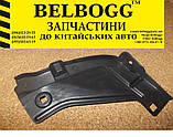 Підкрилок\бризковик заднього правого колеса BYD F3 Бід Ф3, фото 2
