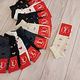 Шкарпетки жіночі SPORT бавовна різнокольорові з серденьками 37-39 | 12 пар, фото 2