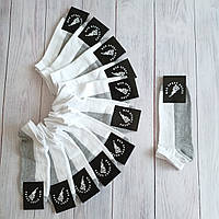 Шкарпетки короткі SPORT  бавовна спорт білі з сірою стопою 39-42 | 12 пар