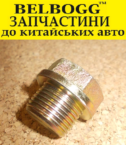 Заливна Пробка заднього моста 491Q Great Wall Safe, Грейт Вол Сейф, фото 1