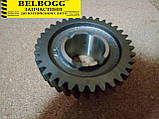 Шестерня 1-ої передачі кпп Dadi Daddi Даді Дадді, фото 2