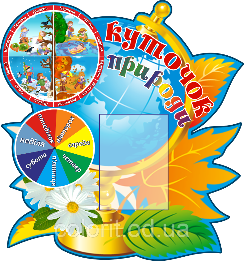 Куточок природи