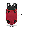 Рюкзак-канару для тварин DT854 Червоний L, фото 5