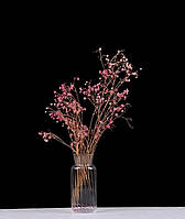 Стильна середня прозора скляна ваза