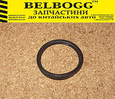 Прокладка термостата  MG 3 Morris Garages, МЖ МГ 3 Моріс Моріс Гараж