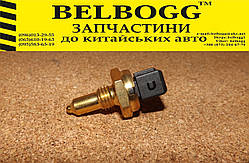 Датчик температури охолоджуючої рідини MG 350, Morris Garages, МЖ МГ 350 Моріс Моріс Гараж