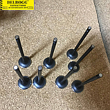 Клапан випускний комплект (8 штук) 2,0\2,4 л Brilliance M1 M2, Бриллианс, Брілліанс М1 М2, фото 3