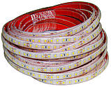 Cвітлодіодна стрічка 24V 2835(120LED/м) IP68, фото 3