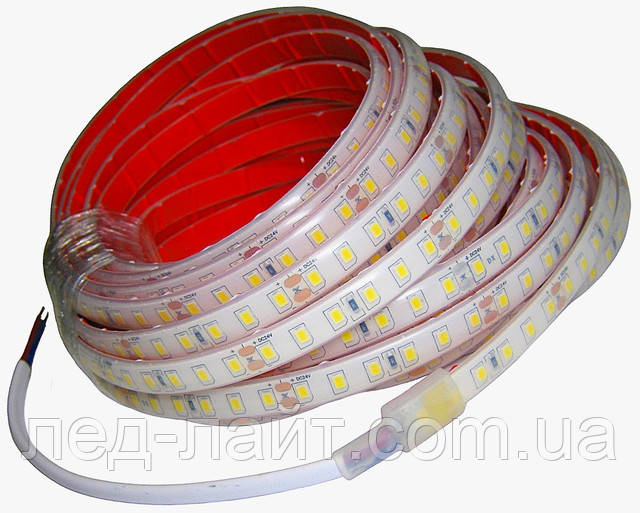 LED strip 24V 2835(120LED) IP68