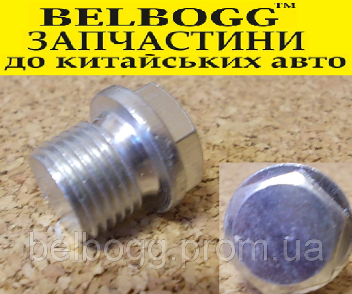 Зливний Болт масла Chery Eastar, Чері Істар