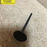 Клапан впускний 1,6 л Brilliance M1 M2 BS4 BS6, Бриллианс М1 М2, Брілліанс, фото 2