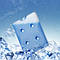 Акумулятор холоду гелевий IceBox, 23*17,5*2,5 см,  800 мл, фото 2