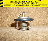 Термостат / 1 прокладка Chana Benni, Чана Бенні, Чана Бенні Бені, фото 5