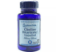Инозитол Puritan's Pride Choline Bitartrate Inositol 100 Caplets NX, код: 7619293