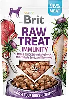 Лакомство для собак Brit Care Raw Treat freeze-dried Immunity для иммунитета, ягненок и курица 40 г