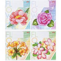 Від 20 шт. Зошит кольоровий 12 аркушів, лінія 3598 D  купити дешево оптом в інтернет-магазині