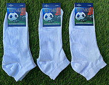 Шкарпетки чоловічі лайкра сітка "Житосвіт" розмір 40-43 і 43-46 Короткі Білі (від 12 пар)