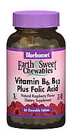 Витамин В6, B12 + Фолиевая кислота Earth Sweet Chewables Bluebonnet Nutrition Вкус Малины 60 NX, код: 1844482