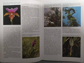 Орхідеї. Італійська енциклопедія. Зденек Е.., фото 2