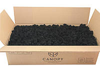Стабилизированный мох - Ягель - Black - 10 кг - Organic Design