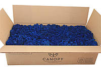 Стабилизированный мох - Ягель - Blue - 5 кг - Organic Design