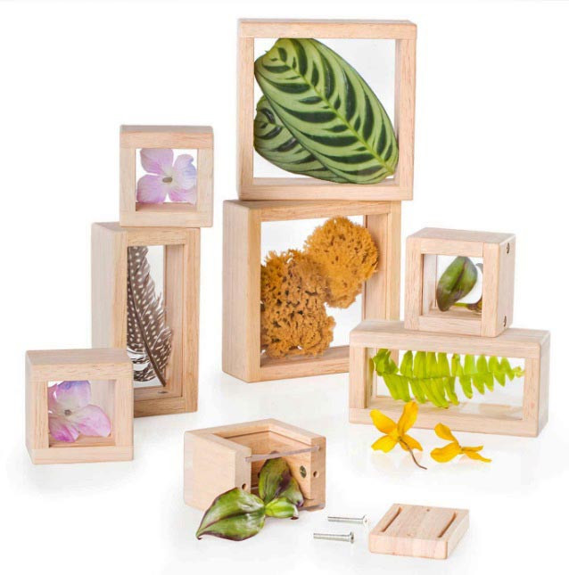 Набір Скарби у прозорих ящиках Guidecraft Natural Play G3084