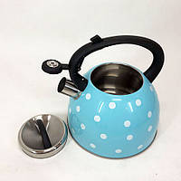 Металлический чайник Unique UN-5301 2,5л | Маленький чайник для газовой плиты | EH-522 Чайник нержавейка